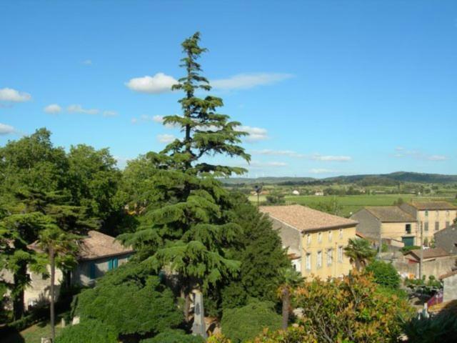 Chambres d'hôtes Le Clos de Vènes Saint-Couat-dʼAude Extérieur photo